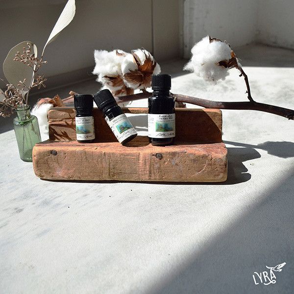 【預購】Arte Verde 奧地利有機單方精油｜花梨木 10ml 花梨木,Arte Verde,奧地利精油,有機精油,精油,單方精油,自然療法,芳療,芳香療法,擴香,薰香,精油養護,精油按摩,精油調香,精油擴香,精油嗅聞,精油推薦