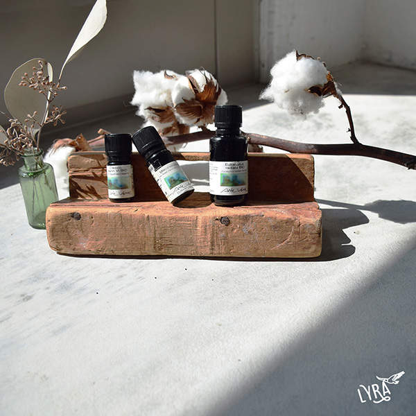 【預購】Arte Verde 奧地利有機單方精油｜洋茴香 5ml 洋茴香,洋茴香精油,Arte Verde,奧地利精油,有機精油,精油,單方精油,自然療法,芳療,芳香療法,擴香,薰香,精油養護,精油按摩,精油調香,精油擴香,精油嗅聞,精油推薦