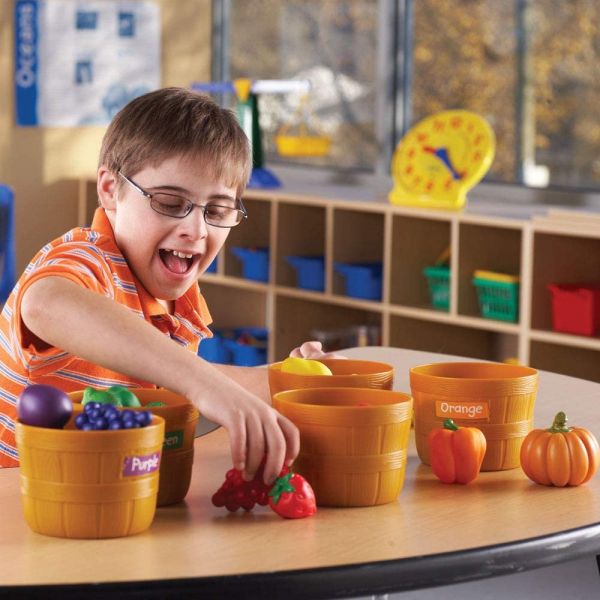 美國Learning Resources蔬菜農場 水果教具,角色扮演,顏色分類,香蕉,蘋果,蔬菜