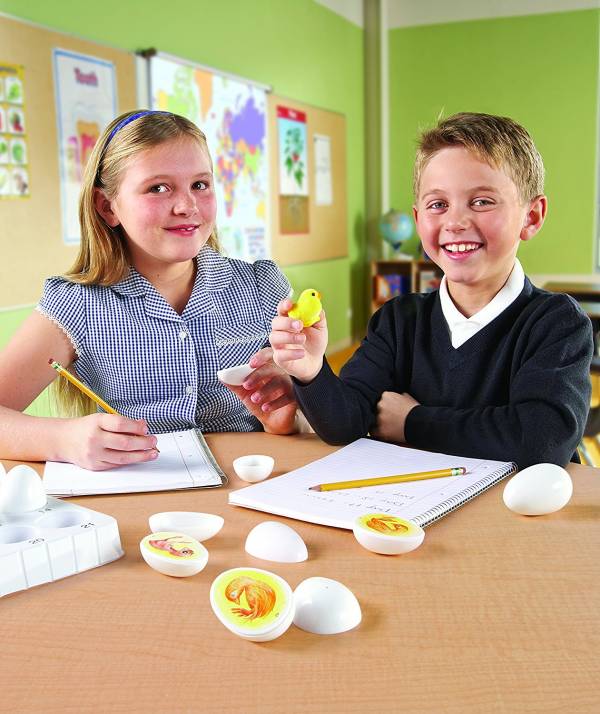 美國Learning Resources小雞成長史 小雞,成長史,教具,生命科學,美國Learning Resources,小雞成長史