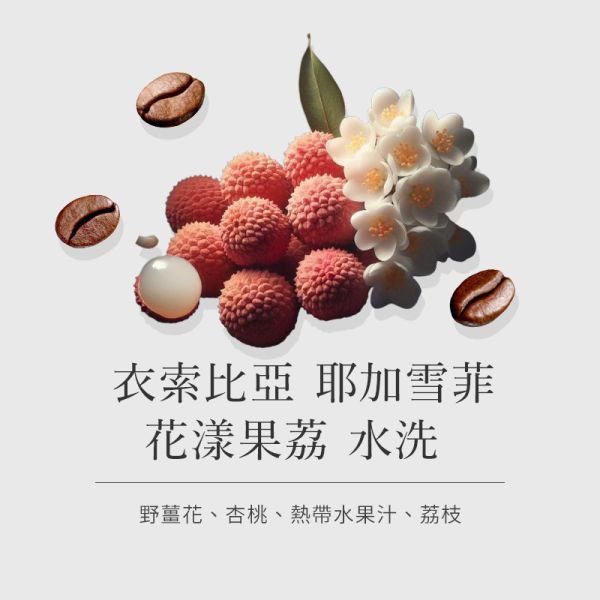 《COE冠軍產區》衣索比亞 耶加雪菲 花漾果荔 水洗  • 單品咖啡豆200g 咖啡豆推薦,精品咖啡豆,網購咖啡豆推薦,衣所比亞咖啡豆,網購咖啡豆專門店