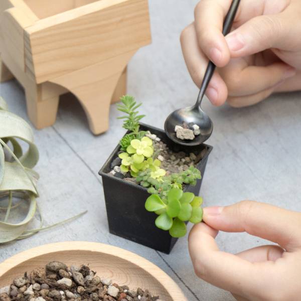 職人手作 |【動物木盆】| 30分鐘 輕鬆上手 | 組裝 磨砂 烙印 | 手作體驗 植物,生活,木頭,diy,體驗,木匠,木匠兄妹,禮物,精品,台灣製造,交換禮物,造型,生日禮物,年節禮物,聖誕禮物,兒童節,療癒,木製,造型,原木,DIY,手做