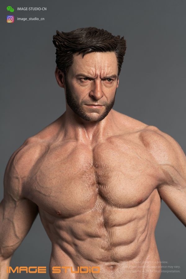 【預定】iMAGE 金鋼狼 