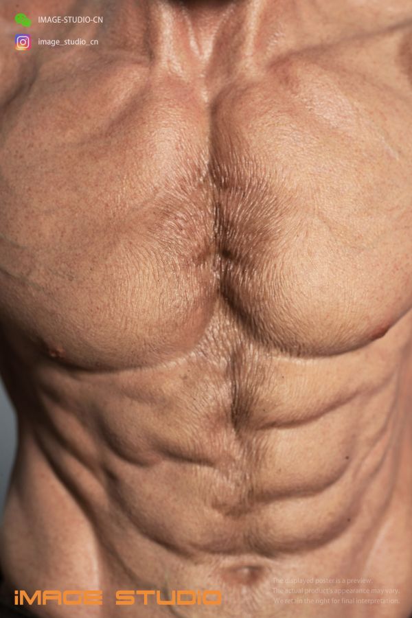 【預定】iMAGE 金鋼狼 