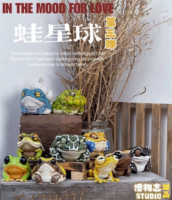 【預定】博物誌 2024限定 蛙星球蛙潮 