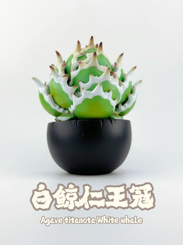 【海外代購】博物誌原創 植潮第二彈 龍舌蘭系列 塊根植物潮玩 多肉植物模型 