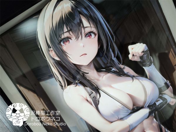 【海外代購】泥棒貓 DSMG-031 FF7 蒂法·洛克哈特 可月兌畫 