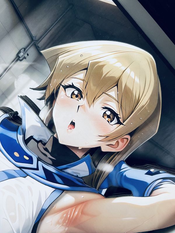 【海外代購】泥棒貓 DSMG-117 天上院明日香 立體裝飾畫 