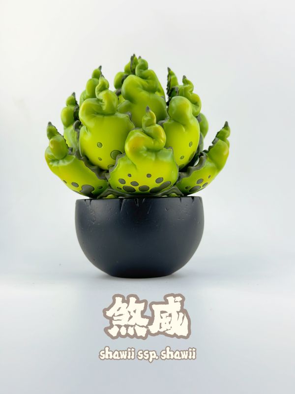 【海外代購】博物誌原創 植潮第二彈 龍舌蘭系列 塊根植物潮玩 多肉植物模型 