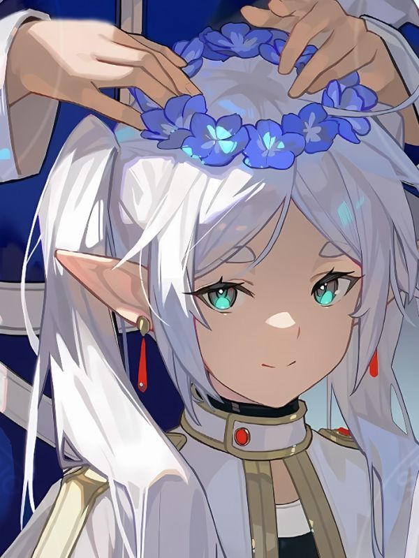 【海外代購】星空 《芙莉蓮與辛美爾》葬送的芙莉蓮Frieren動畫二次元裝飾畫 