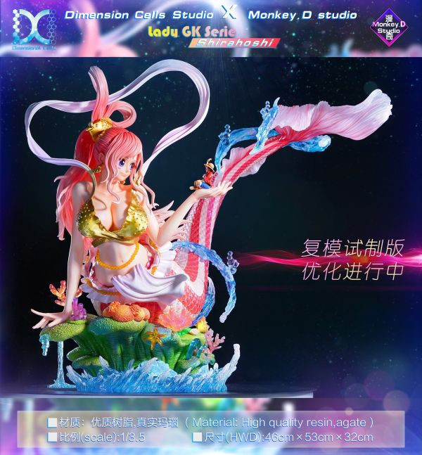 【預定】DC Dimension Cells 白星 當海王遇見上海賊王 