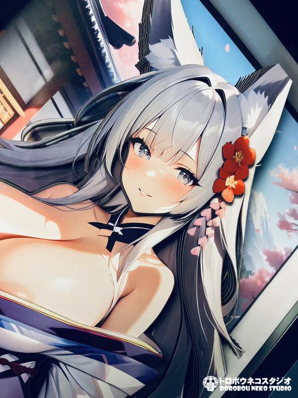 【海外代購】泥棒貓 DSMG-065 Shinano 信濃 立體裝飾畫 