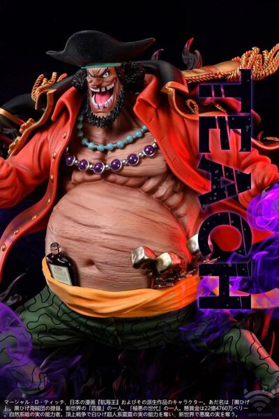 【海外代購】WIFI 黑鬍子 蒂奇 