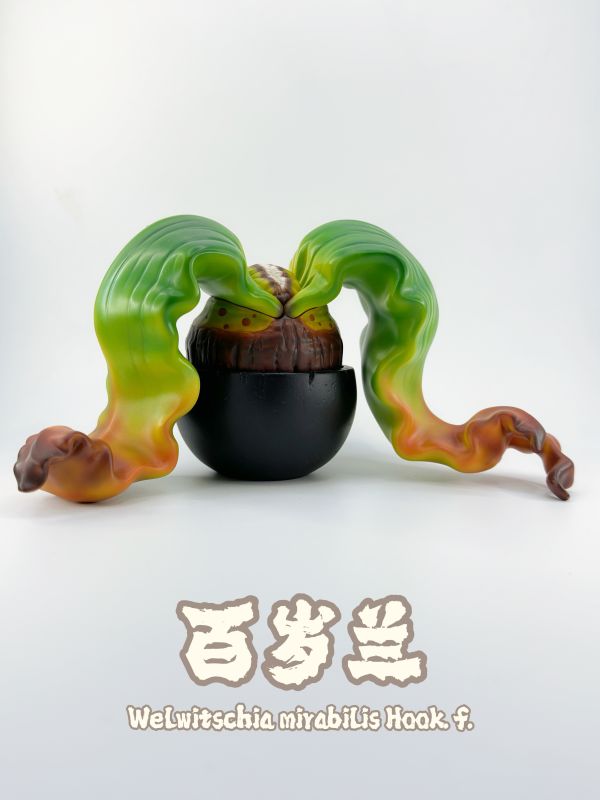 【海外代購】博物誌原創 植潮第二彈 龍舌蘭系列 塊根植物潮玩 多肉植物模型 