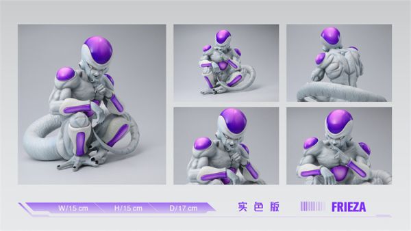 【預定】Wink 坐姿龍珠第六彈 弗力札 