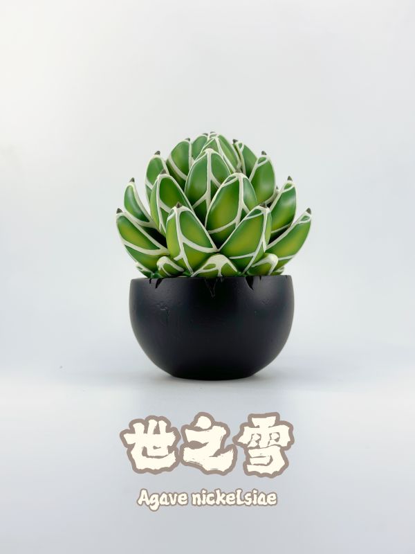 【海外代購】博物誌原創 植潮第二彈 龍舌蘭系列 塊根植物潮玩 多肉植物模型 