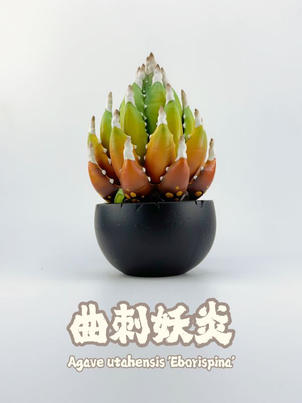 【海外代購】博物誌原創 植潮第二彈 龍舌蘭系列 塊根植物潮玩 多肉植物模型 