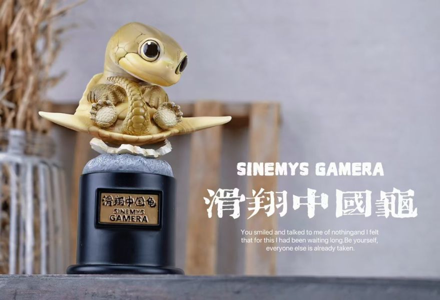 【預定】博志物出品 2024 遠爬古寵-復計活劃 卷龜角與滑翔國中龜 