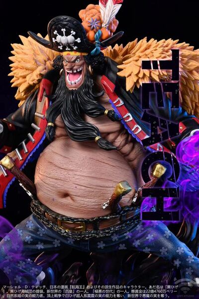 【海外代購】WIFI 黑鬍子 蒂奇 