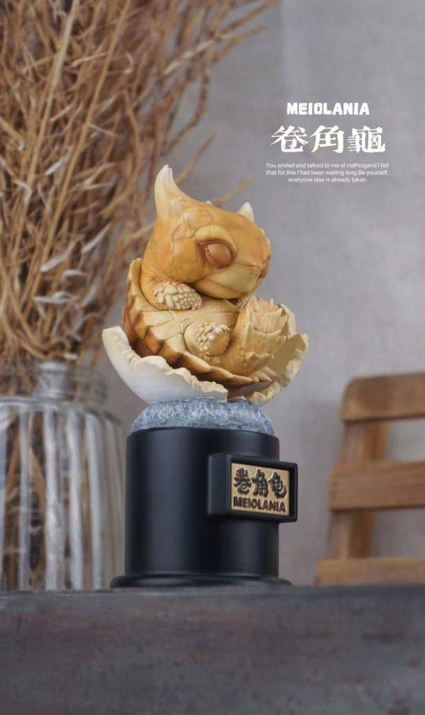 【預定】博志物出品 2024 遠爬古寵-復計活劃 卷龜角與滑翔國中龜 