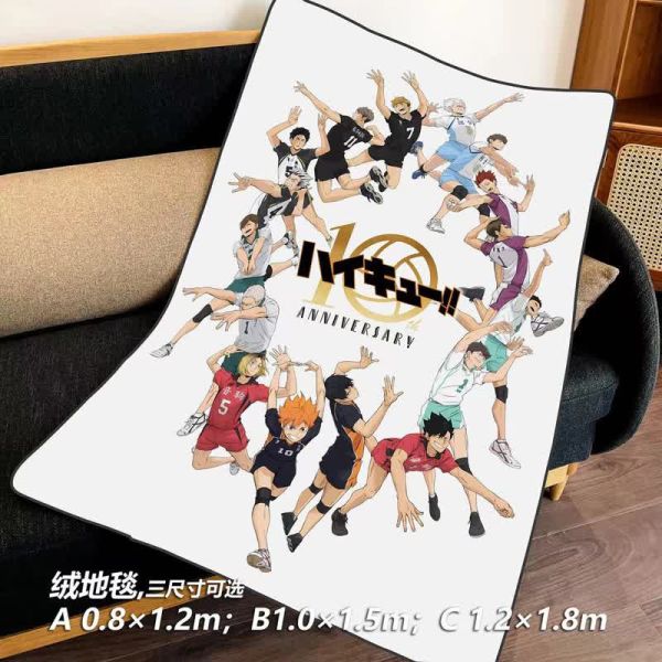 【海外代購】千鳥社 排球少年10週年 日向翔陽影山飛雄 裝飾畫 