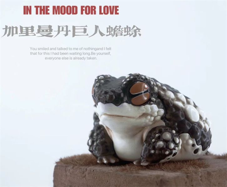 【預定】博物誌 2024限定 蛙星球蛙潮 