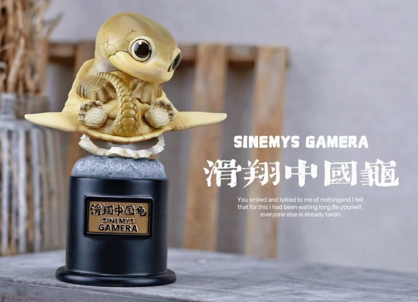 【預定】博志物出品 2024 遠爬古寵-復計活劃 卷龜角與滑翔國中龜 