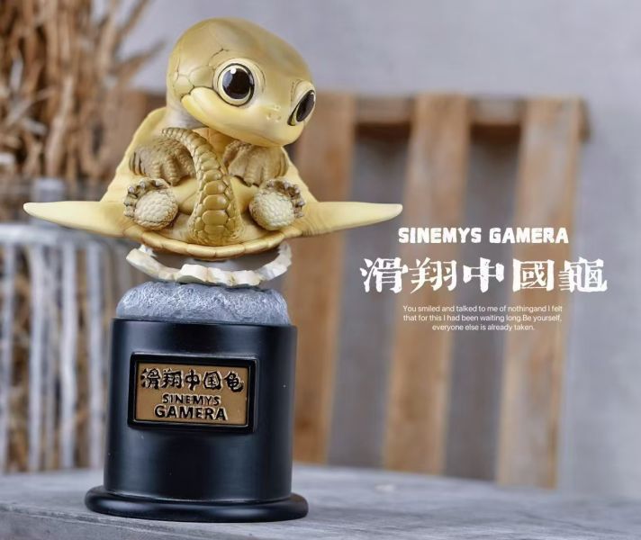 【預定】博志物出品 2024 遠爬古寵-復計活劃 卷龜角與滑翔國中龜 