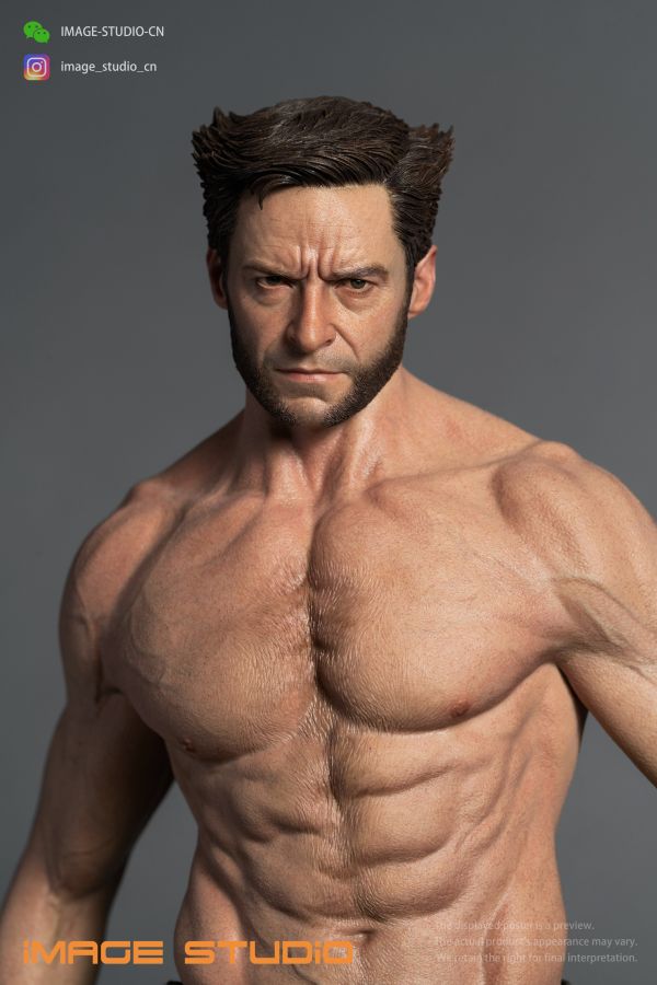 【預定】iMAGE 金鋼狼 