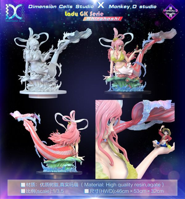 【預定】DC Dimension Cells 白星 當海王遇見上海賊王 