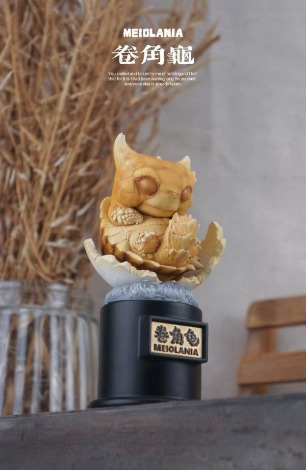 【預定】博志物出品 2024 遠爬古寵-復計活劃 卷龜角與滑翔國中龜 