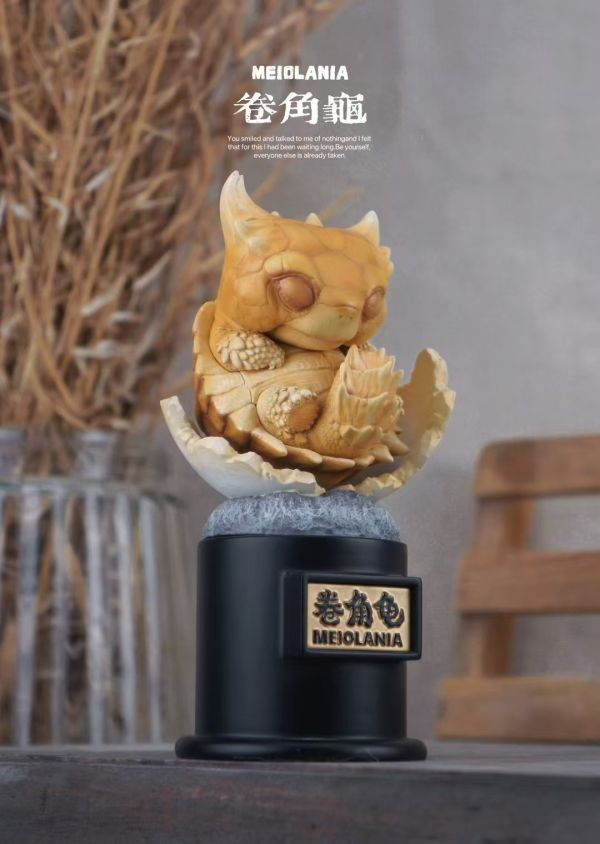 【預定】博志物出品 2024 遠爬古寵-復計活劃 卷龜角與滑翔國中龜 