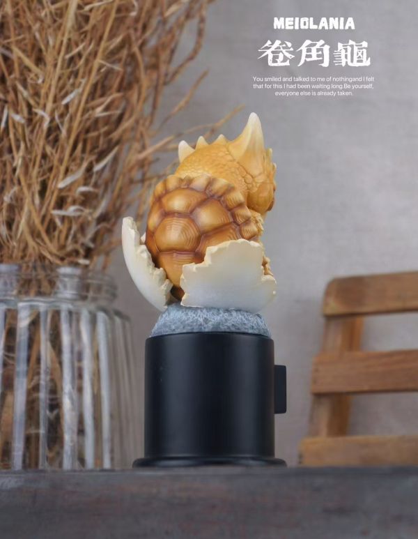 【預定】博志物出品 2024 遠爬古寵-復計活劃 卷龜角與滑翔國中龜 