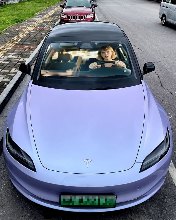 【海外代購】千鳥社 《汽車前擋遮陽－高斯林、黴黴》 夏季汽車遮陽防曬前擋開車瑞恩高斯林高司令黴黴泰勒絲 