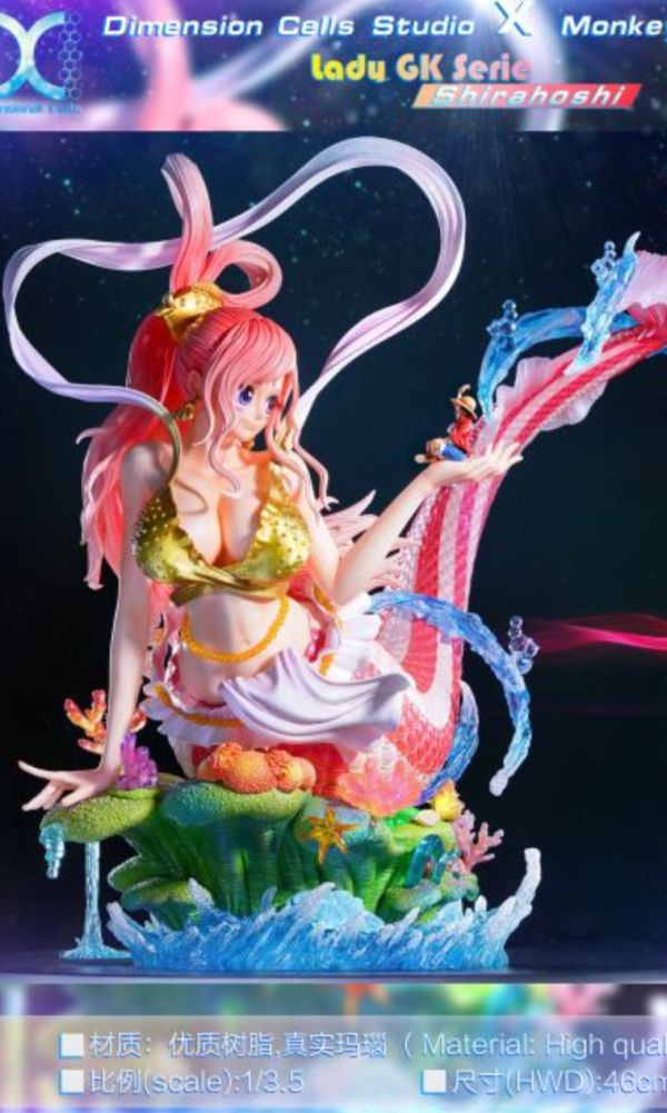 【預定】DC Dimension Cells 白星 當海王遇見上海賊王 