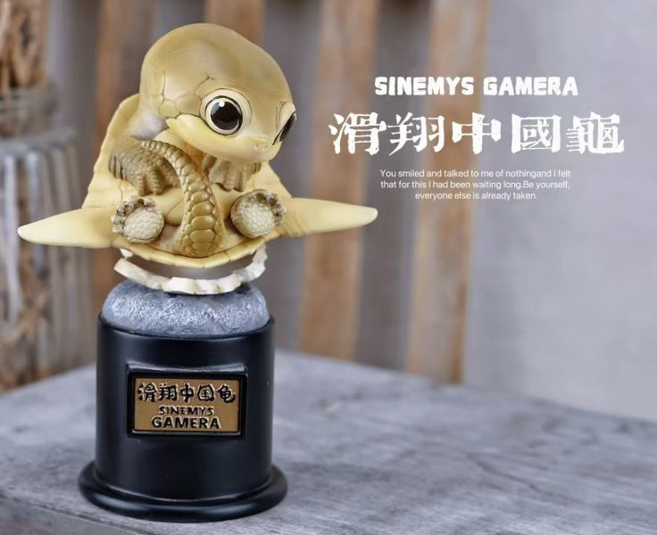 【預定】博志物出品 2024 遠爬古寵-復計活劃 卷龜角與滑翔國中龜 