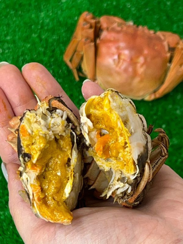 江蘇大閘蟹【5.2~5.7兩】 