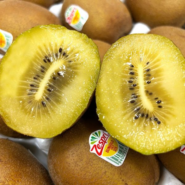 紐西蘭黃金奇異果 
