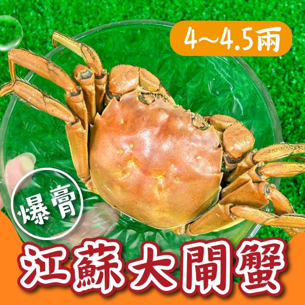江蘇大閘蟹【4~4.5兩】 