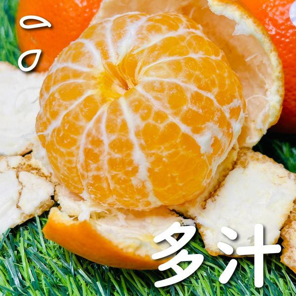 <少量零購>【澳洲金茂谷】蜜柑 