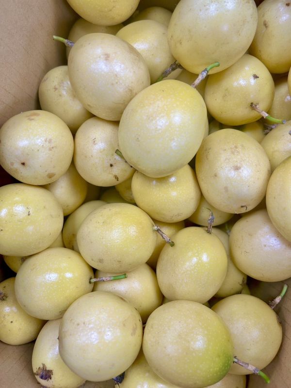 【香甜】黃金百香果 