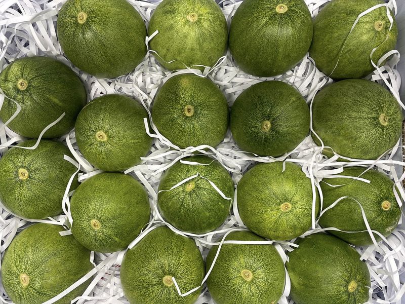 脆甜多汁【翠妞甜瓜】 