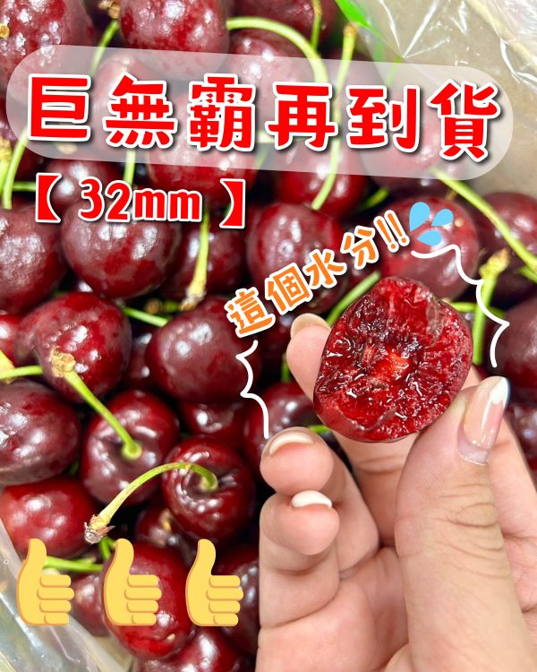 巨無霸-智利櫻桃 32m 
