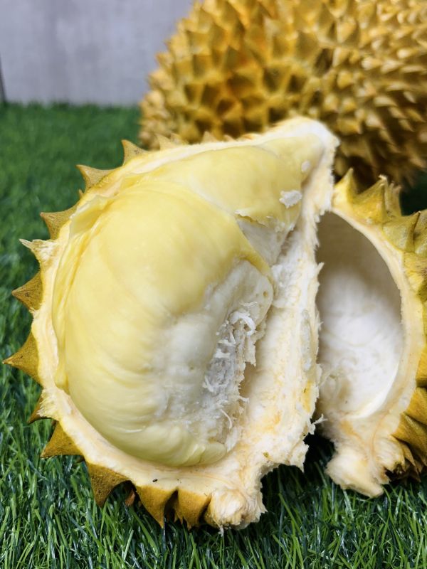 (免運) 【冷凍】泰國金枕頭榴槤 