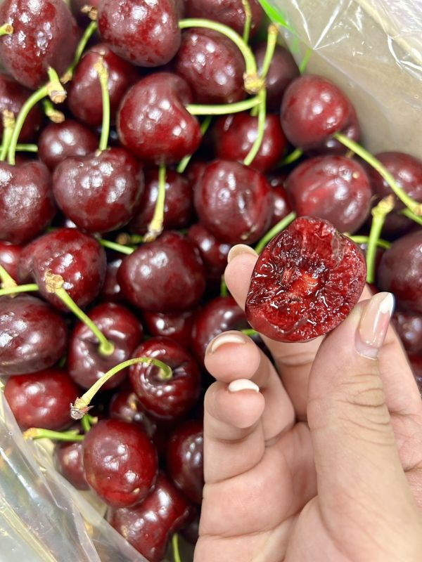 巨無霸-智利櫻桃 32m 