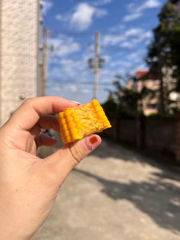 日本青森水果玉米【嶽きみ】 