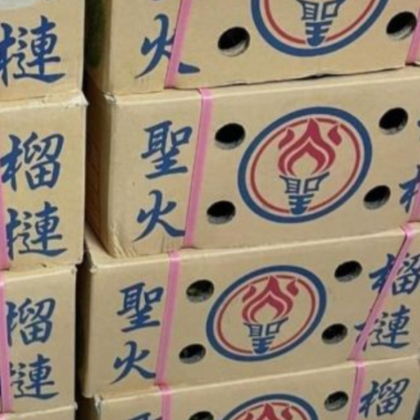 【聖火】金枕頭榴槤 