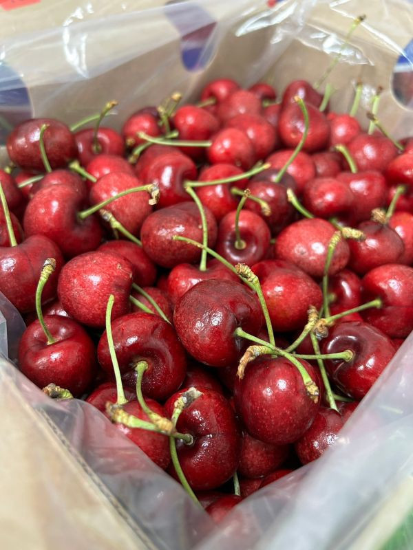 ＜少量零購＞搶鮮-智利櫻桃 