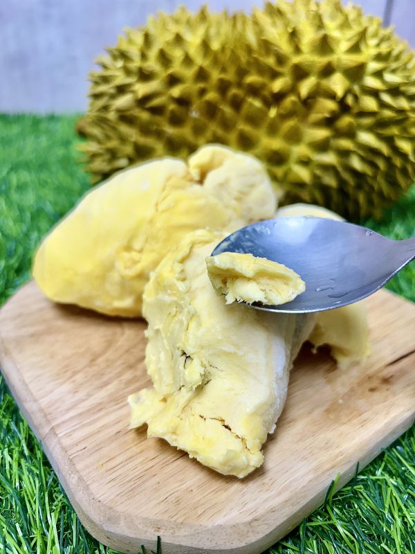 (免運) 【冷凍】泰國金枕頭榴槤 