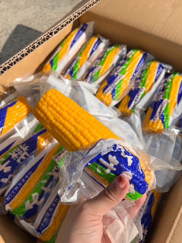 <少量零購>日本青森水果玉米【嶽きみ】 